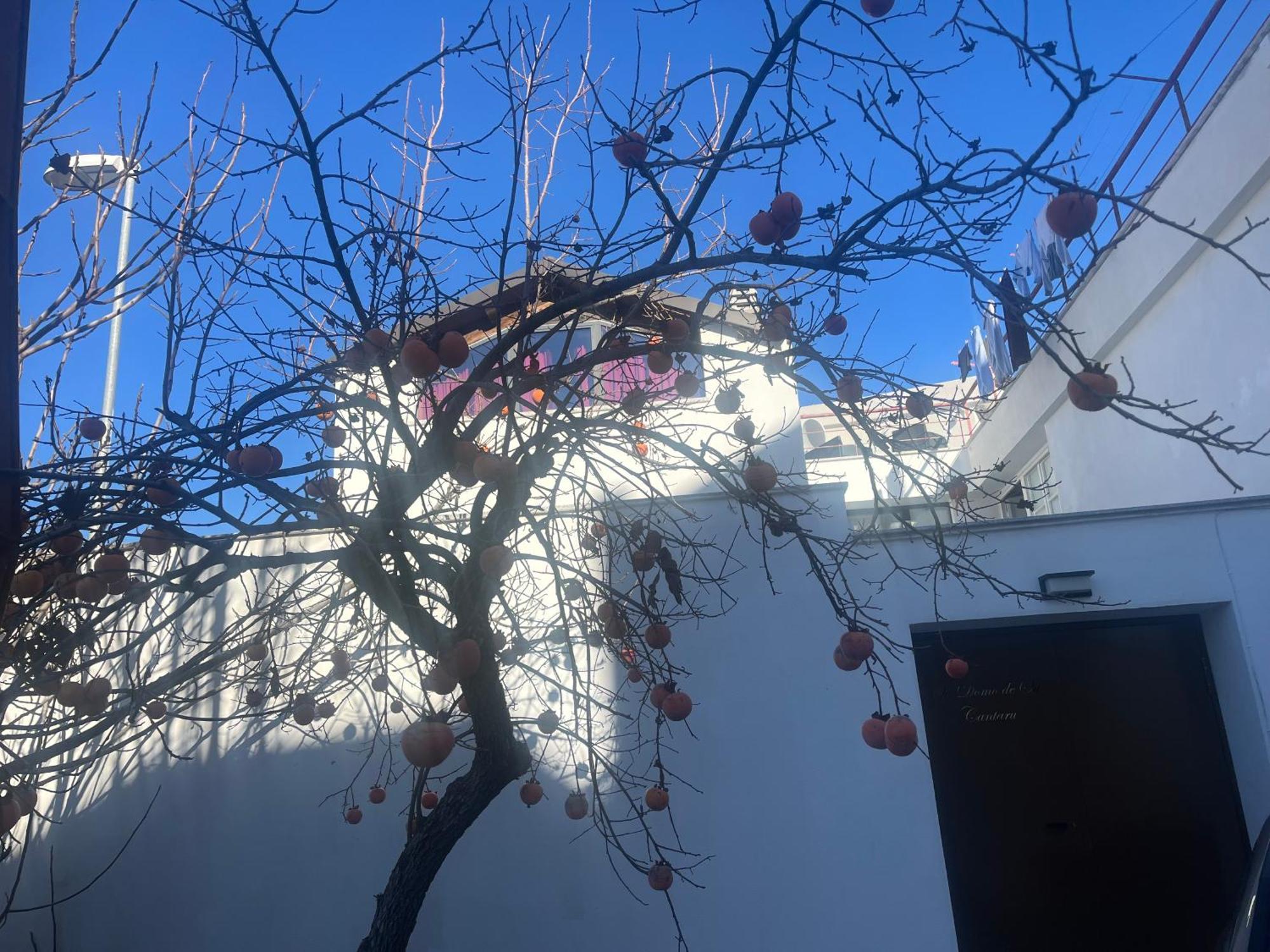 Casa Ziranu Sa Domo E Su Cantaru Orani Exterior photo